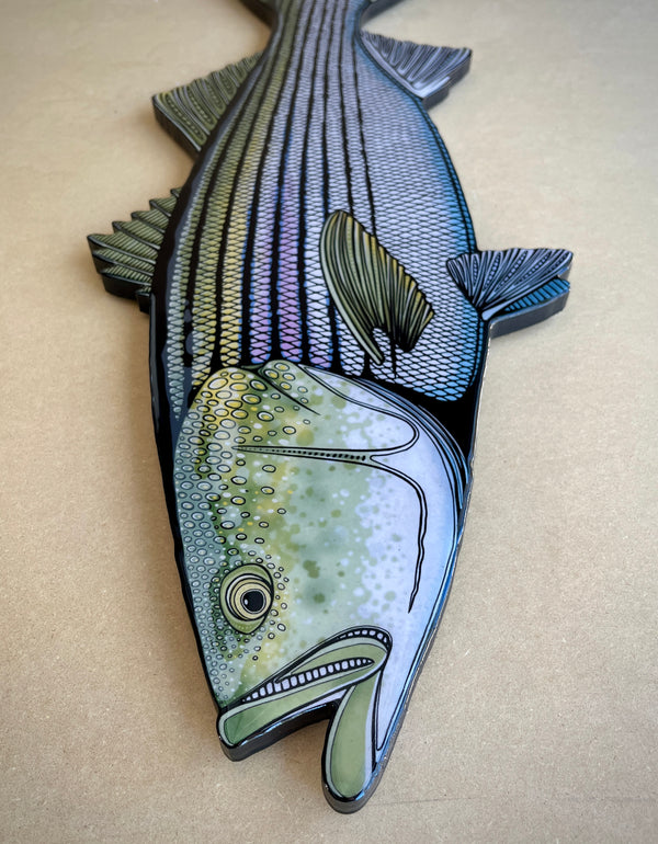 Striped Bass