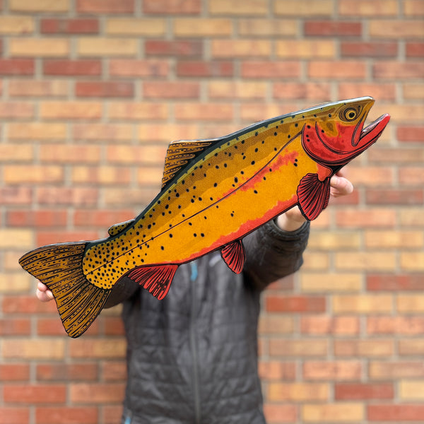 Colorado River Cutthroat