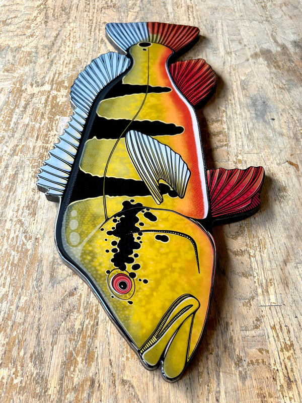 Peacock Bass || Print Mount || 26"