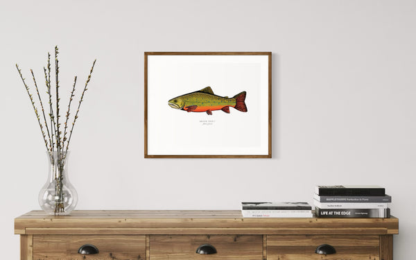 Brook Trout II Color Fine Art Print