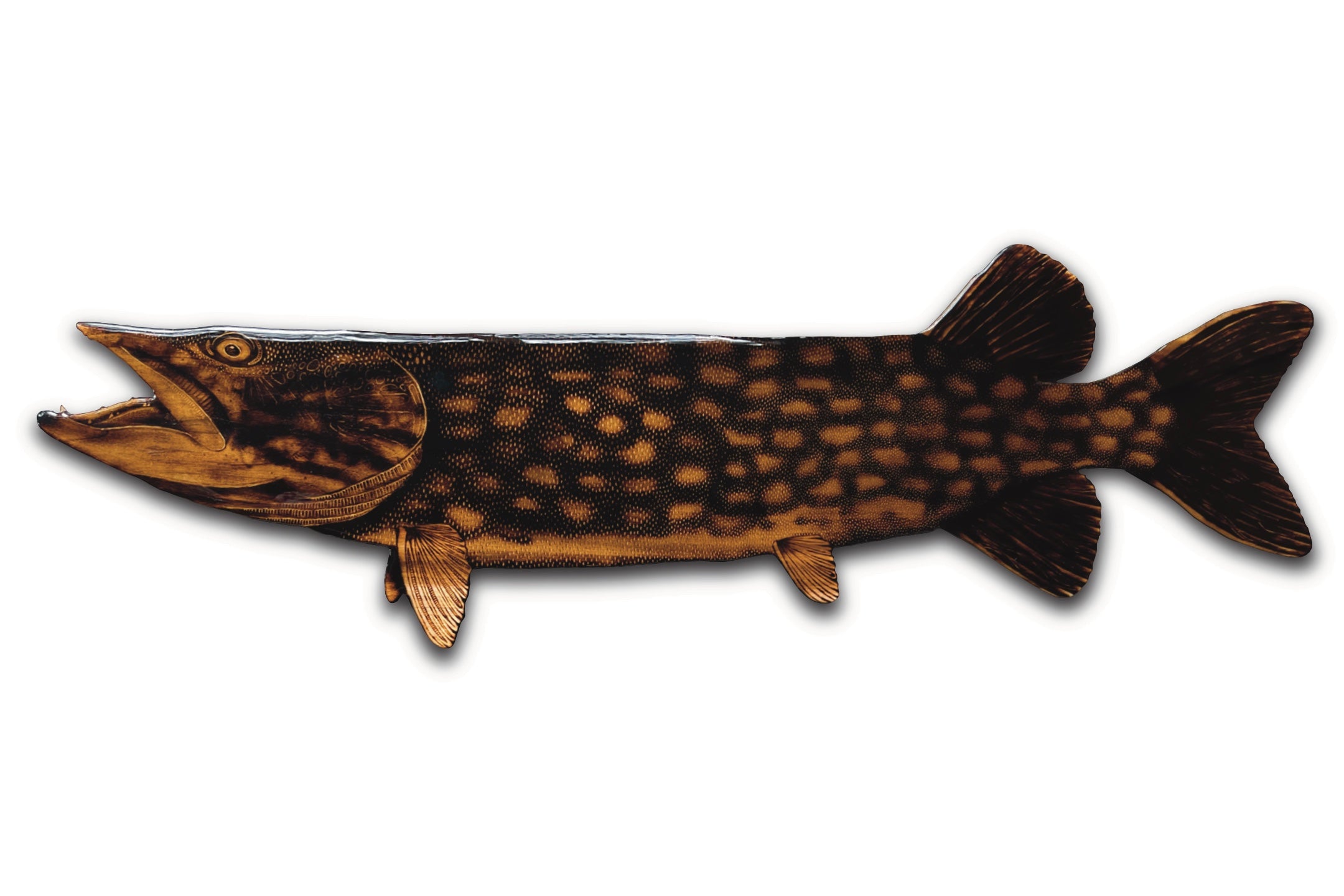 Musky – Bold Coast Burns