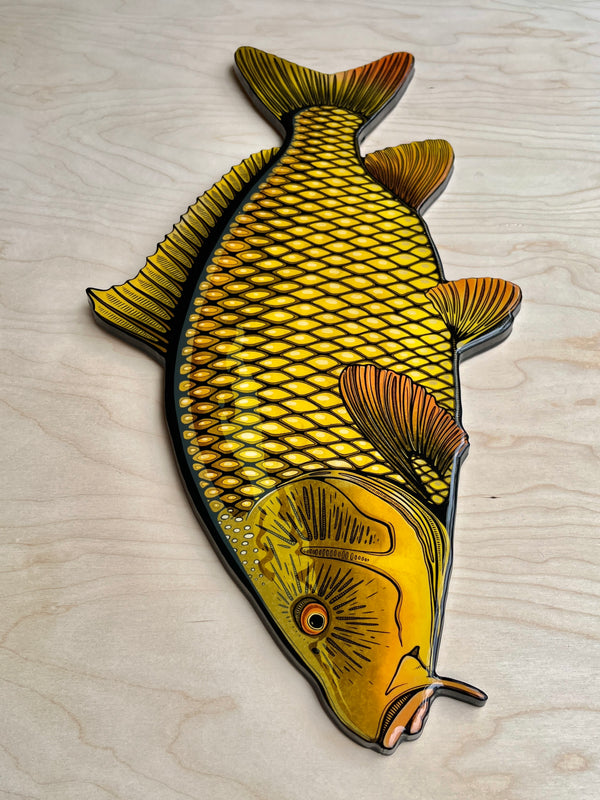 Carp