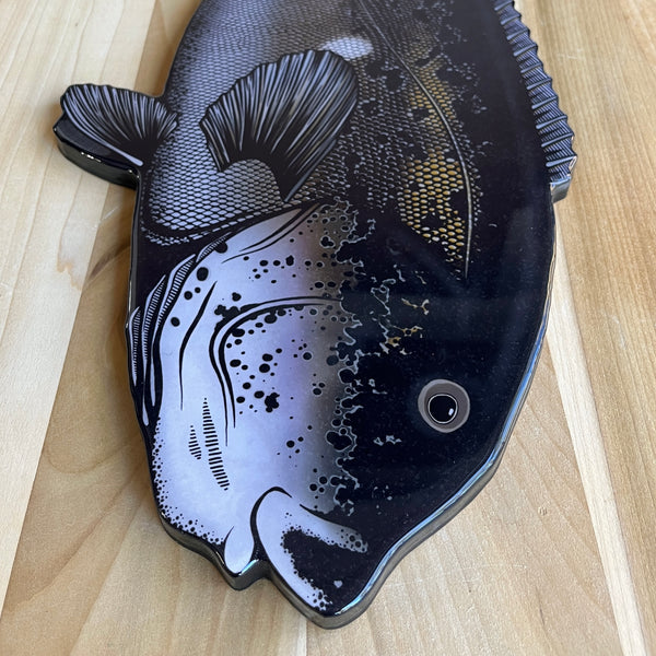 Tautog || 28” Print Mount