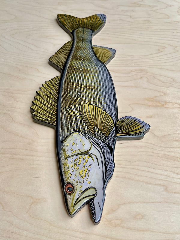 Walleye