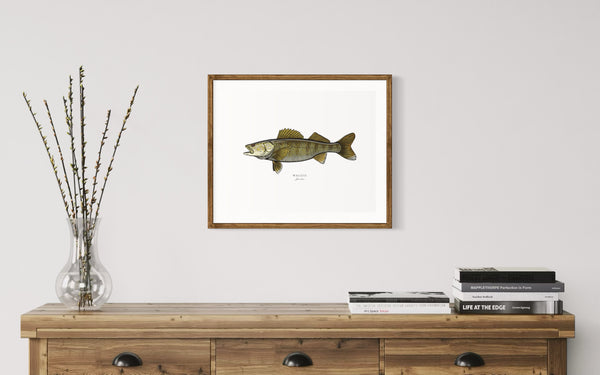 Walleye II Color Fine Art Print