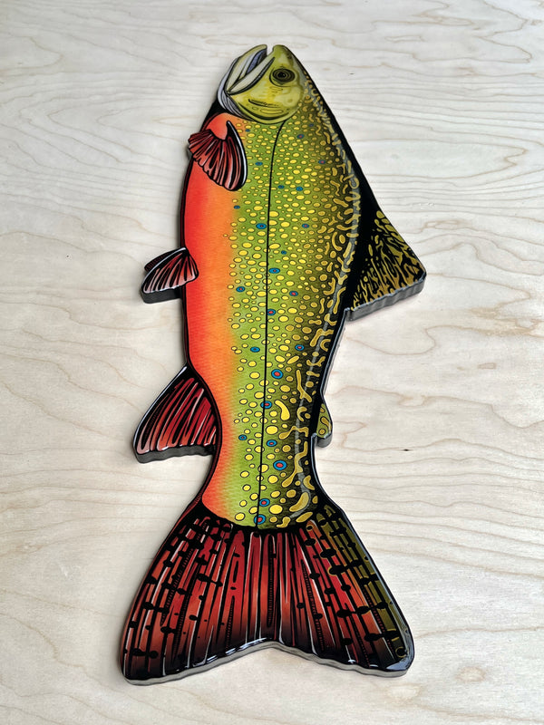 Brook Trout