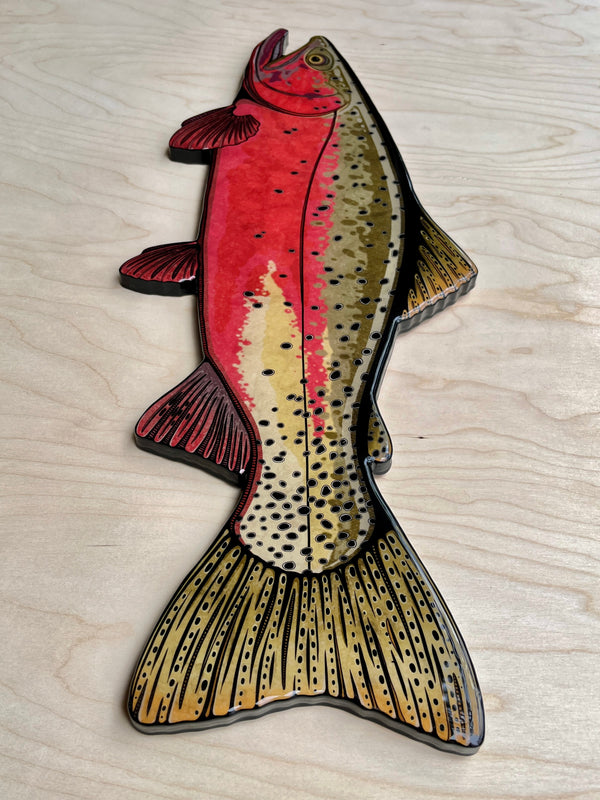 Greenback Cutthroat