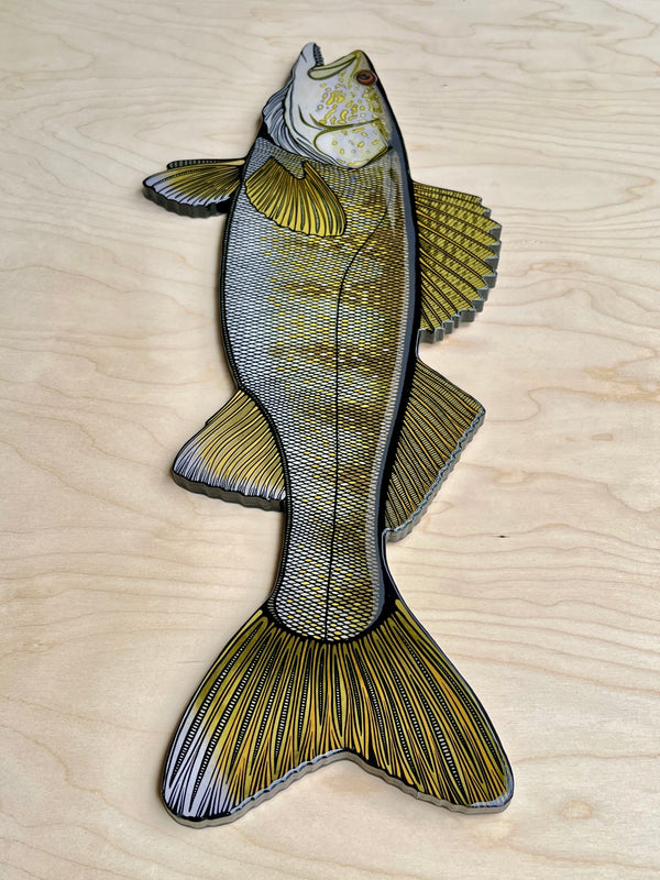 Walleye