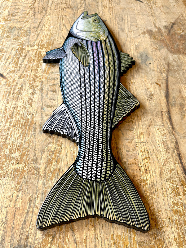 Striped Bass || Print Mount || 32"