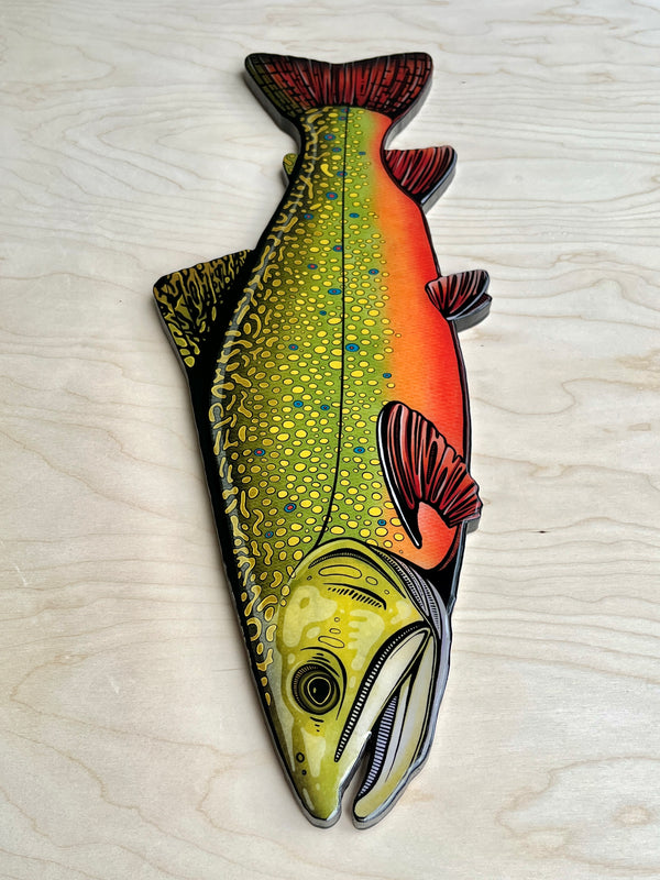 Brook Trout
