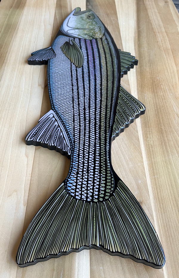 Striped Bass