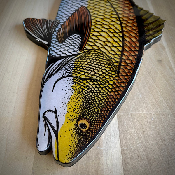 Redfish