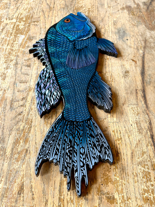 Black Sea Bass || Print Mount || 24"