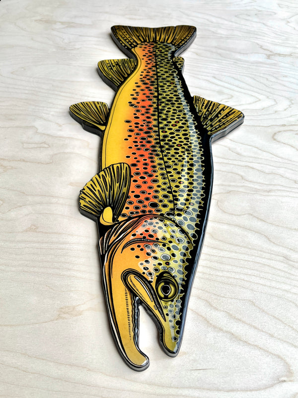 Brown Trout