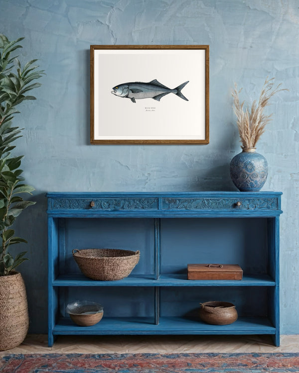 Bluefish II Color Fine Art Print