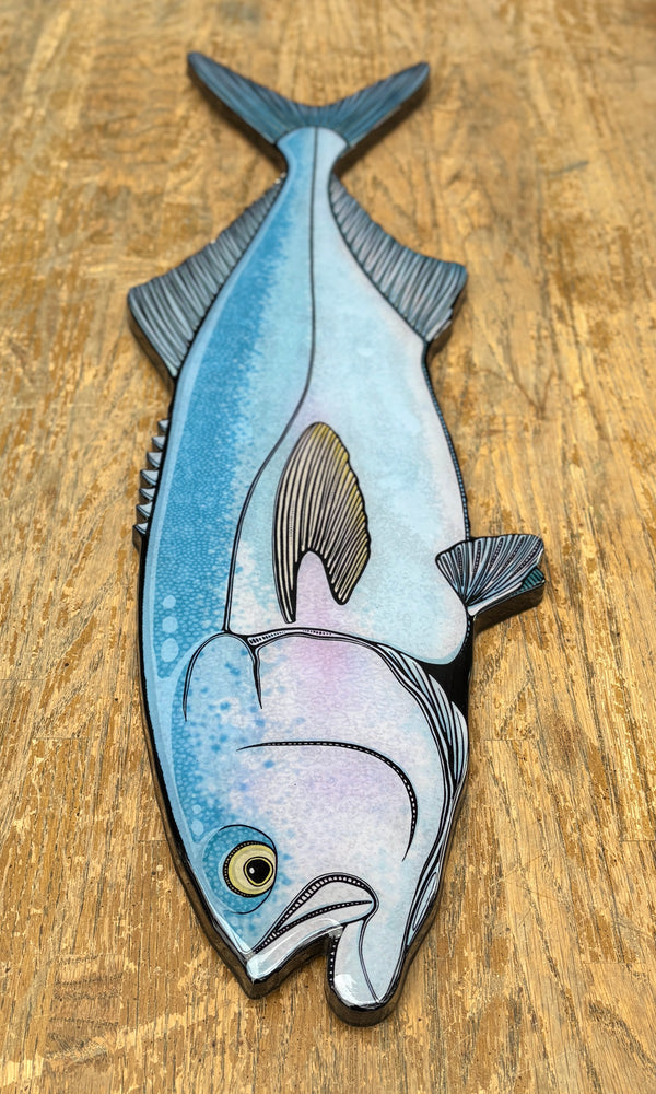 Bluefish || Print Mount || 30"