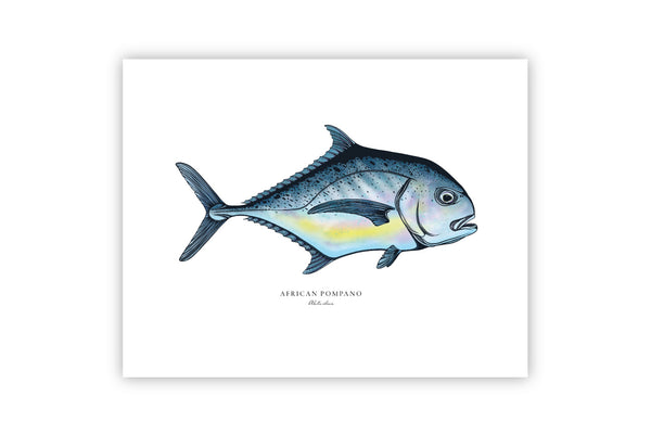 African Pompano