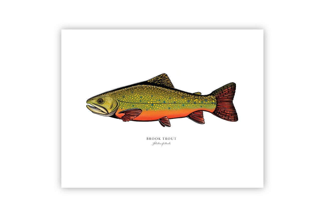 Funny Brook Trout Fishing Freshwater Fish Gift #48 Bath Towel by