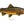 Load image into Gallery viewer, Brown Trout

